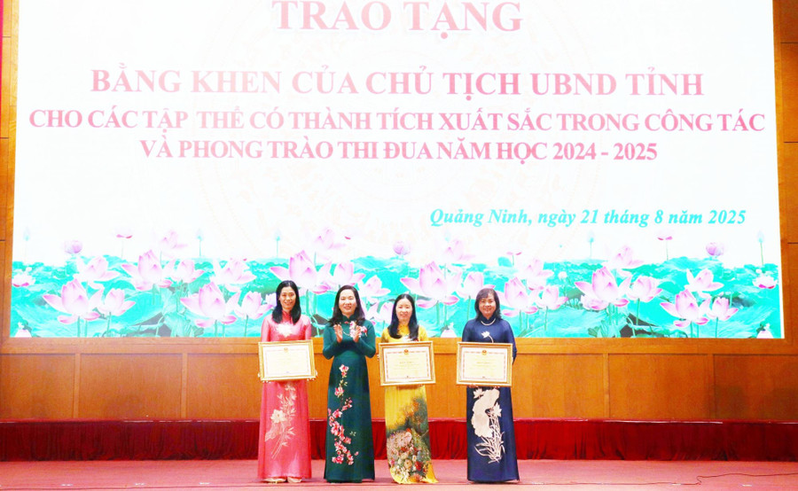 Nhiều thành tích nổi bật
