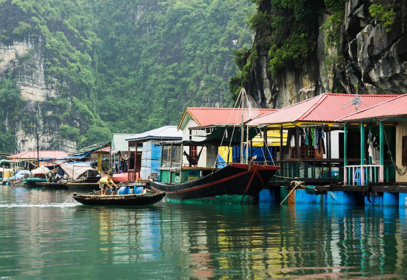 Lịch sử và phát triển