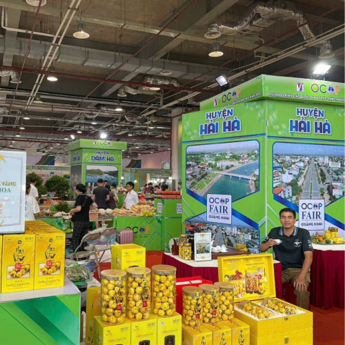 Quảng Ninh: Mở Rộng Thị Trường Tiêu Thụ Qua Xúc Tiến Thương Mại