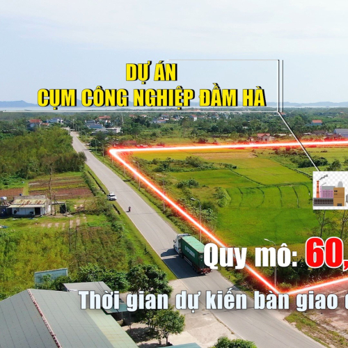 Quảng Ninh: Hơn 200 Doanh Nghiệp Tìm Hiểu Cơ Hội Đầu Tư Vào Cụm Công Nghiệp Đầu Tiên Ở Đầm Hà