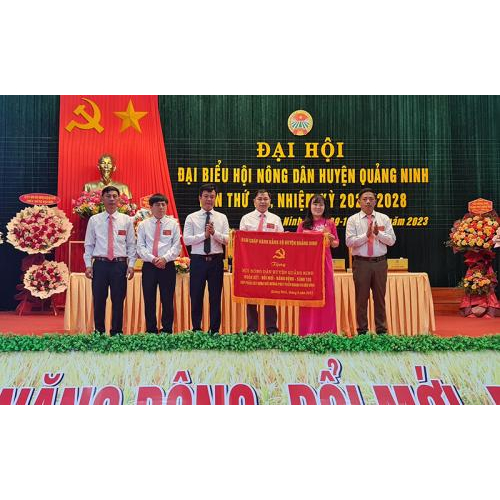 Hoạt động tiêu biểu