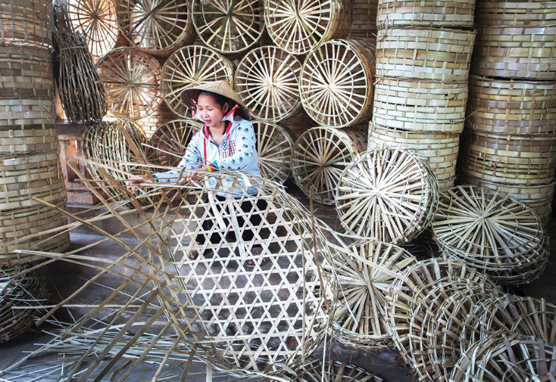 Lịch sử hình thành và phát triển