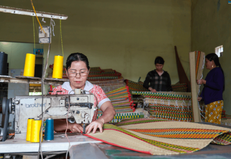Lịch sử hình thành và phát triển
