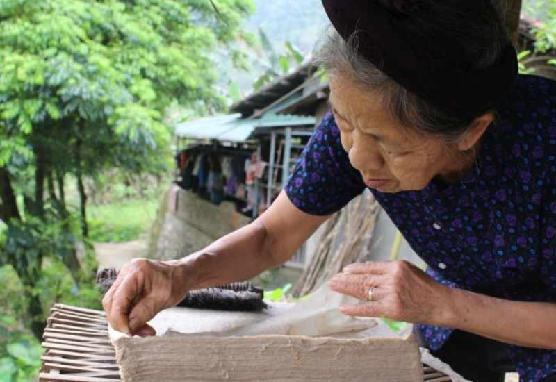 Giới thiệu