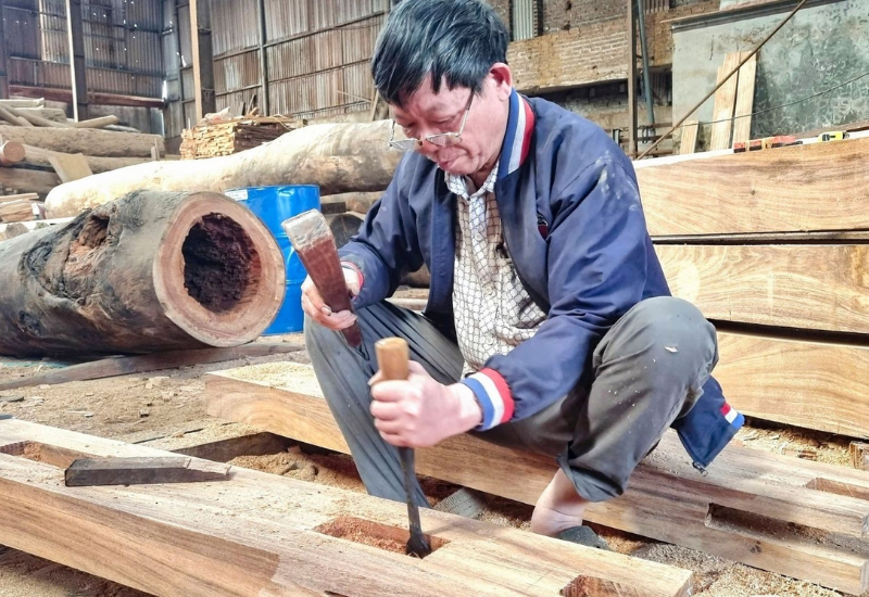 Lịch sử và phát triển