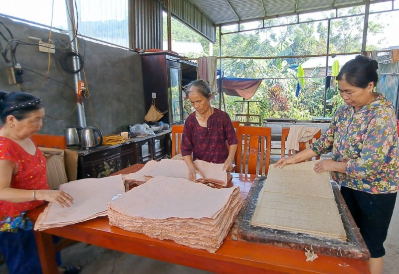 Lịch sử và phát triển