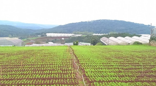 Quảng Trị tăng tốc chuyển đổi số: Thành tựu và định hướng vươn ra thế giới