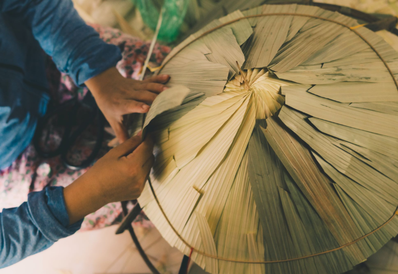 Lịch sử và phát triển