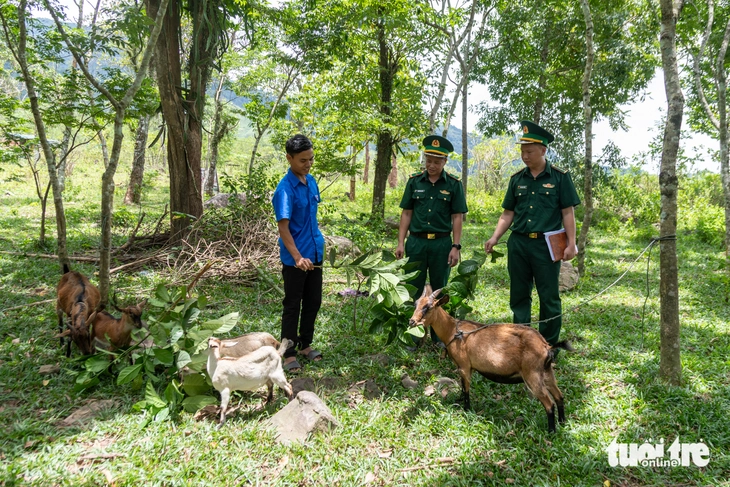 Mô hình “Dê giống khởi nghiệp” thắp hy vọng cho thanh niên vùng biên Quảng Trị