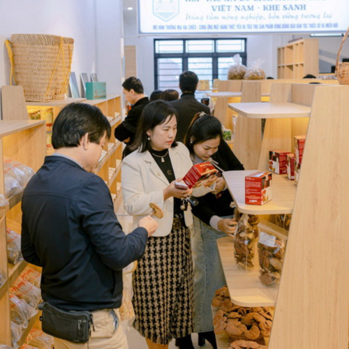 Quảng Trị Bố Trí Kinh Phí Hỗ Trợ Doanh Nghiệp Nhỏ Và Vừa