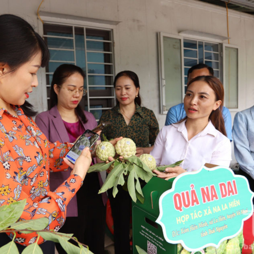 Thái Nguyên - Trung Tâm Chuyển Đổi Số Năng Động