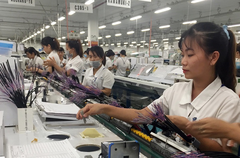 Tuyên Quang triển khai chương trình nâng cao năng suất, chất lượng sản phẩm giai đoạn 2021-2025