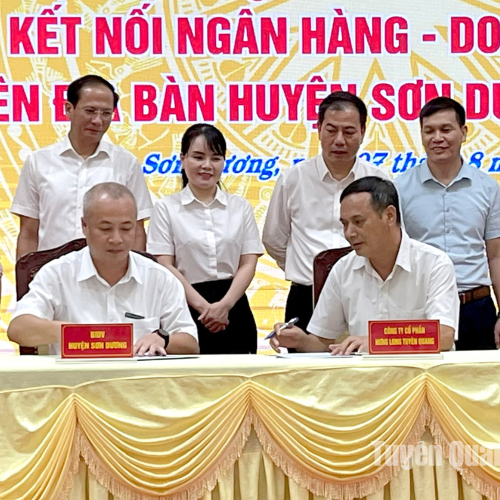 BIDV Tuyên Quang Hỗ Trợ Doanh Nghiệp Vượt Khó Trong Sản Xuất