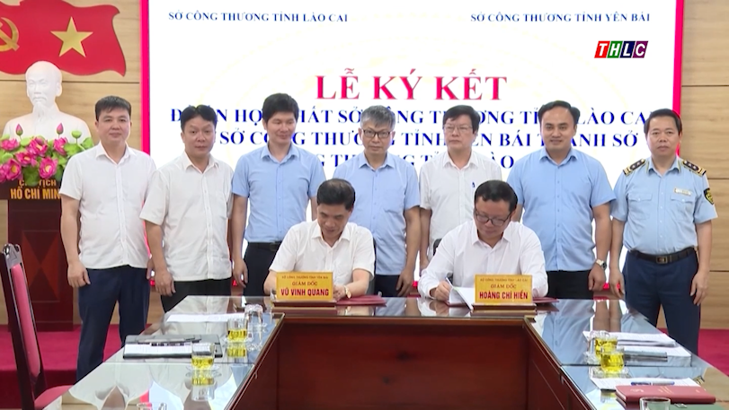 Sơ lược chức năng, nhiệm vụ