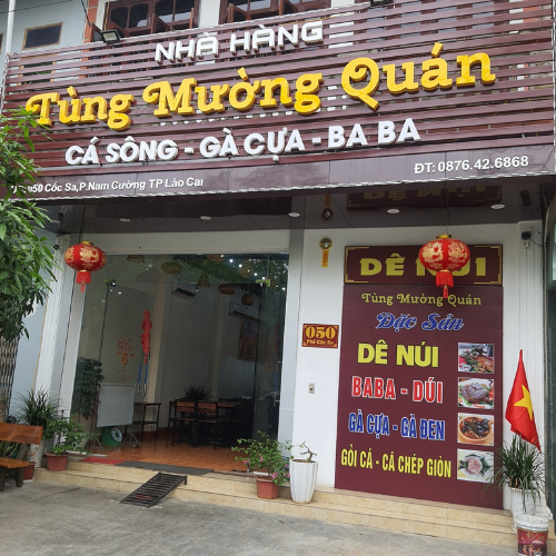 Tùng Mường Quán