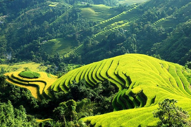Giới thiệu