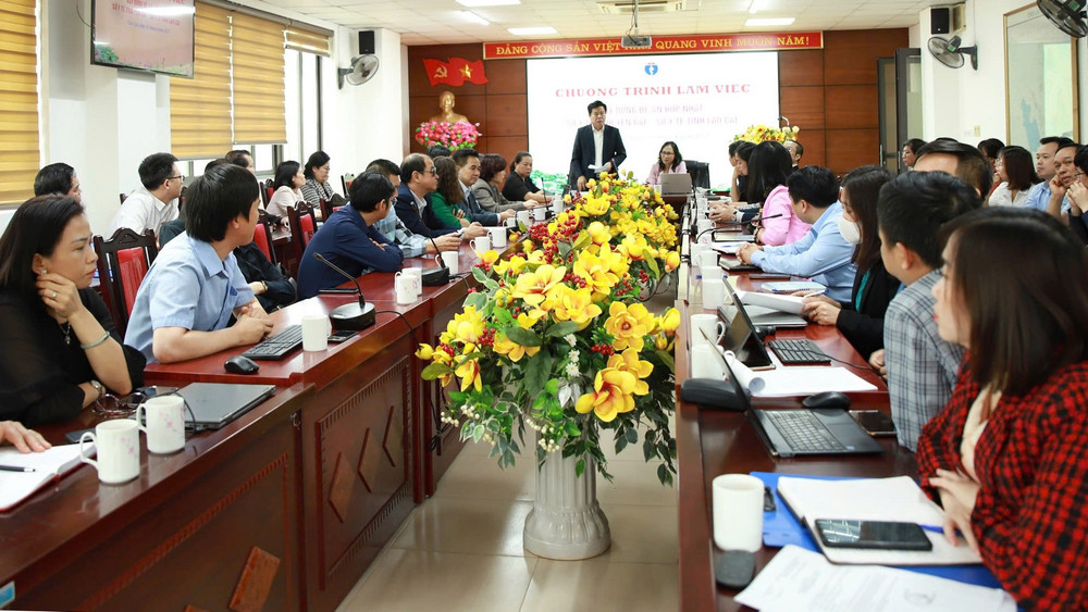 Sơ lược chức năng, nhiệm vụ