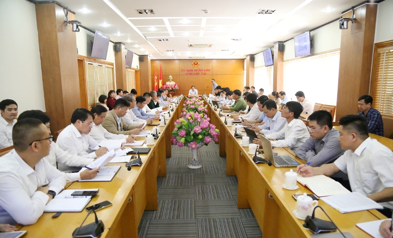 Hoạt động tiêu biểu
