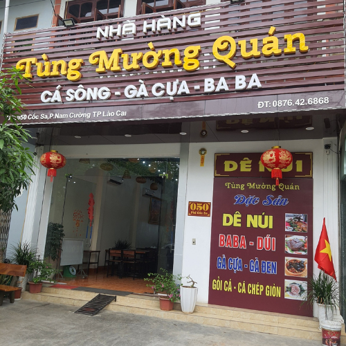 Tùng Mường Quán