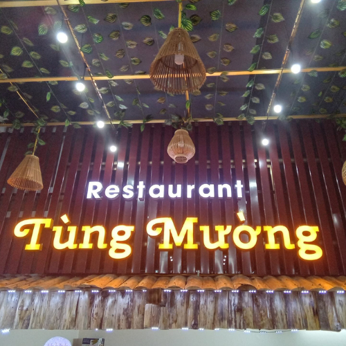 Tùng Mường Quán