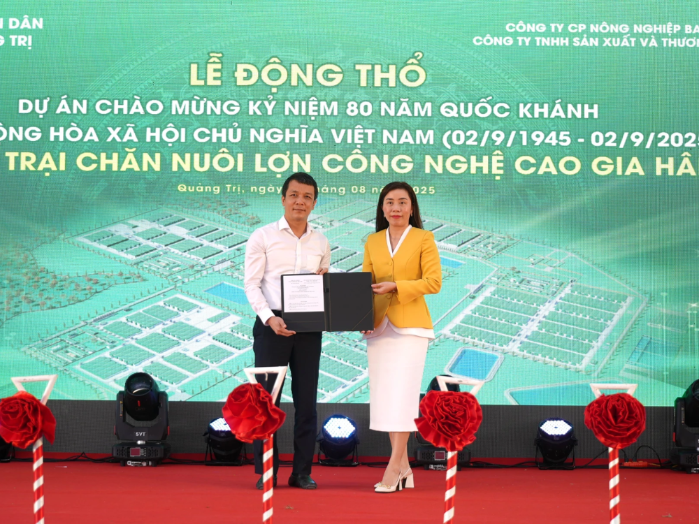 Thông tin dự án