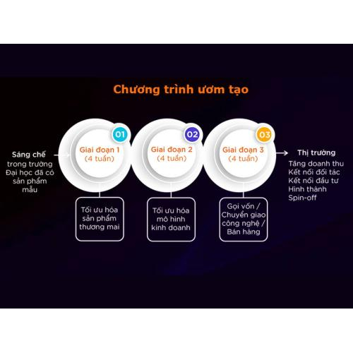 Phương thức thương mại hóa