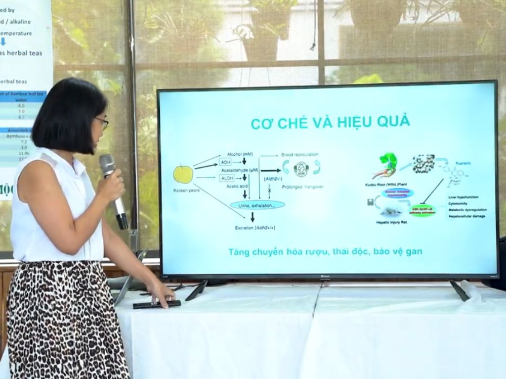 4. Cơ chế và hiệu quả: Bí quyết uống không đau đầu