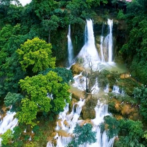 LIF Việt Nam: Hành trình Gắn kết và Thúc đẩy Đổi mới Sáng tạo tại Mộc Châu