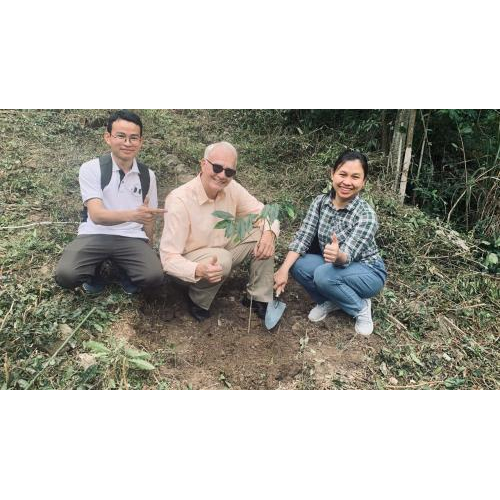 Trải nghiệm giản dị – Sự tỉnh thức sâu sắc