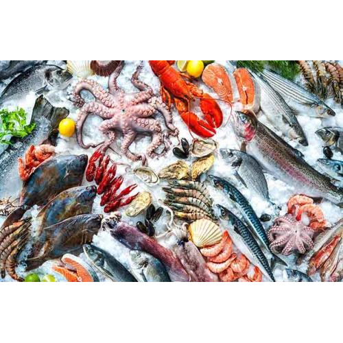 1. Bí quyết chọn hải sản tươi ngon: Mắt sáng, vỏ cứng, mùi tự nhiên