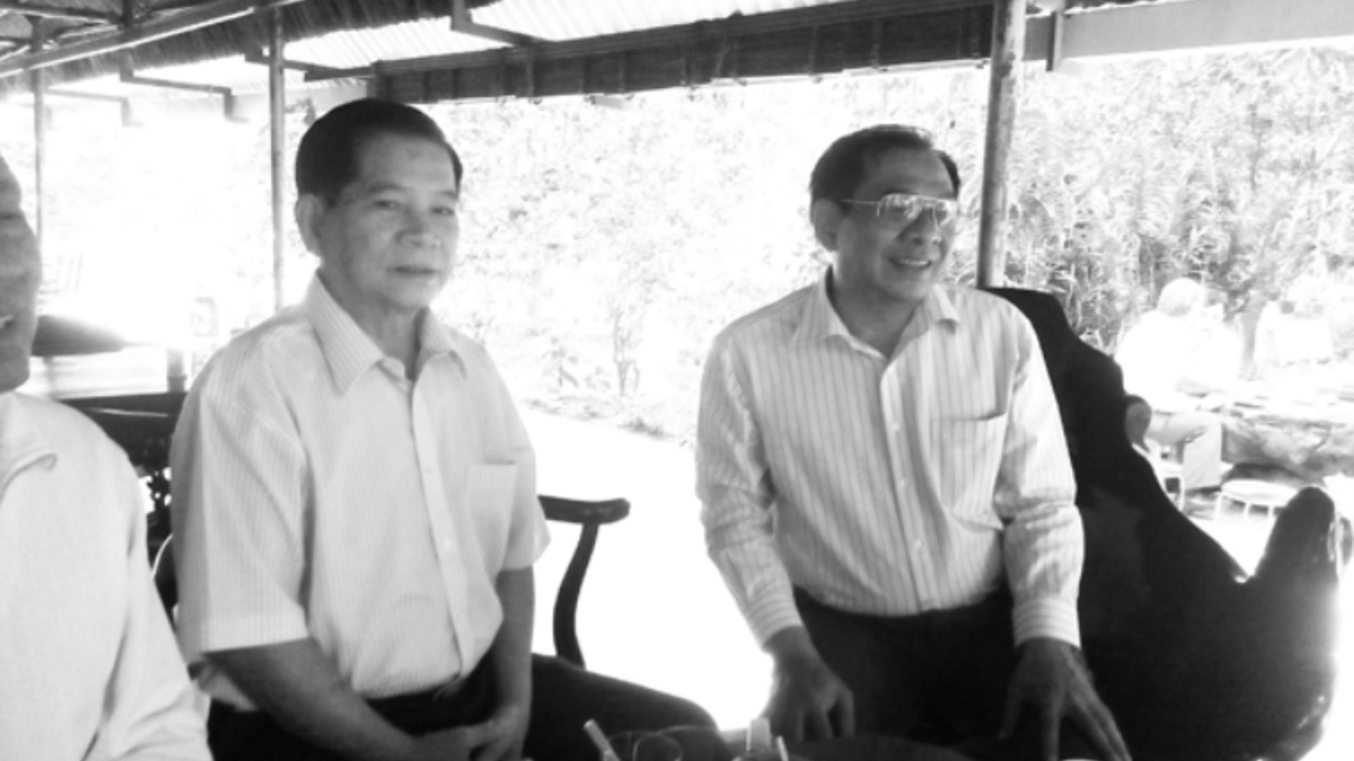 Sự nghiệp học thuật và chuyên môn