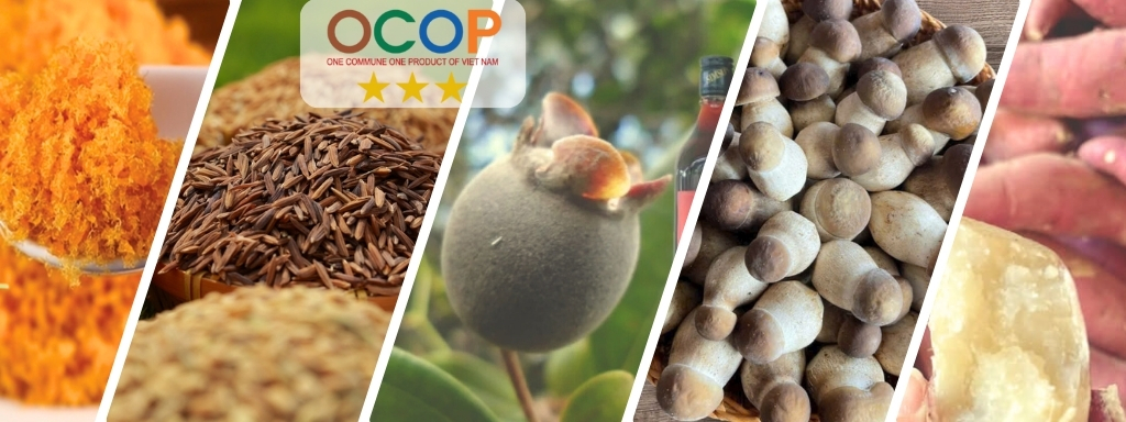 6. Nhiệm vụ và giải pháp chủ yếu