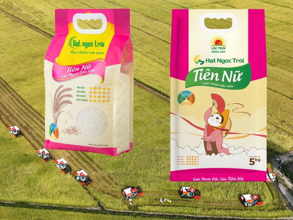 Giới thiệu