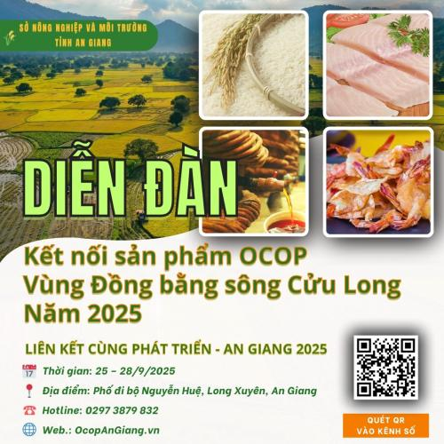 Gian Hàng Số An Giang Tại Diễn Đàn OCOP 2025: Cơ Hội Nâng Tầm Sản Phẩm OCOP An Giang