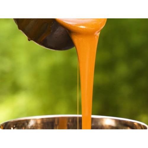 Mật Thốt Nốt Sệt Palmania 600g - Soft Palmyra Nectar
