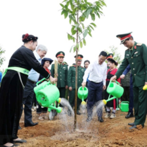 Hoạt động mặt trận