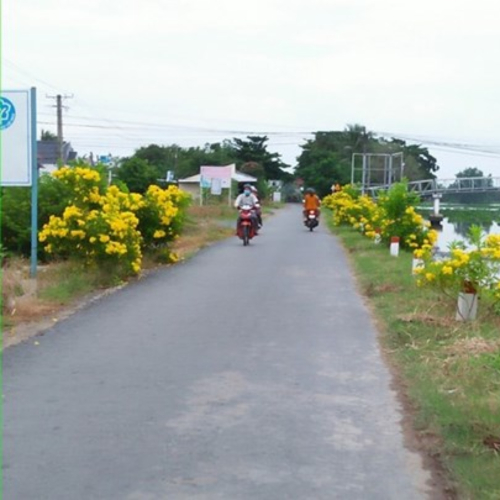 Mặt Trận Gò Quao Nở Rộ Nhiều Mô Hình Hay