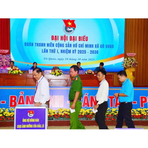 Công bố quyết định của ban thường vụ tỉnh đoàn An Giang tại đại hội