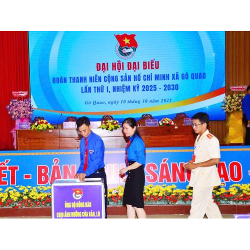 Công bố quyết định của ban thường vụ tỉnh đoàn An Giang tại đại hội