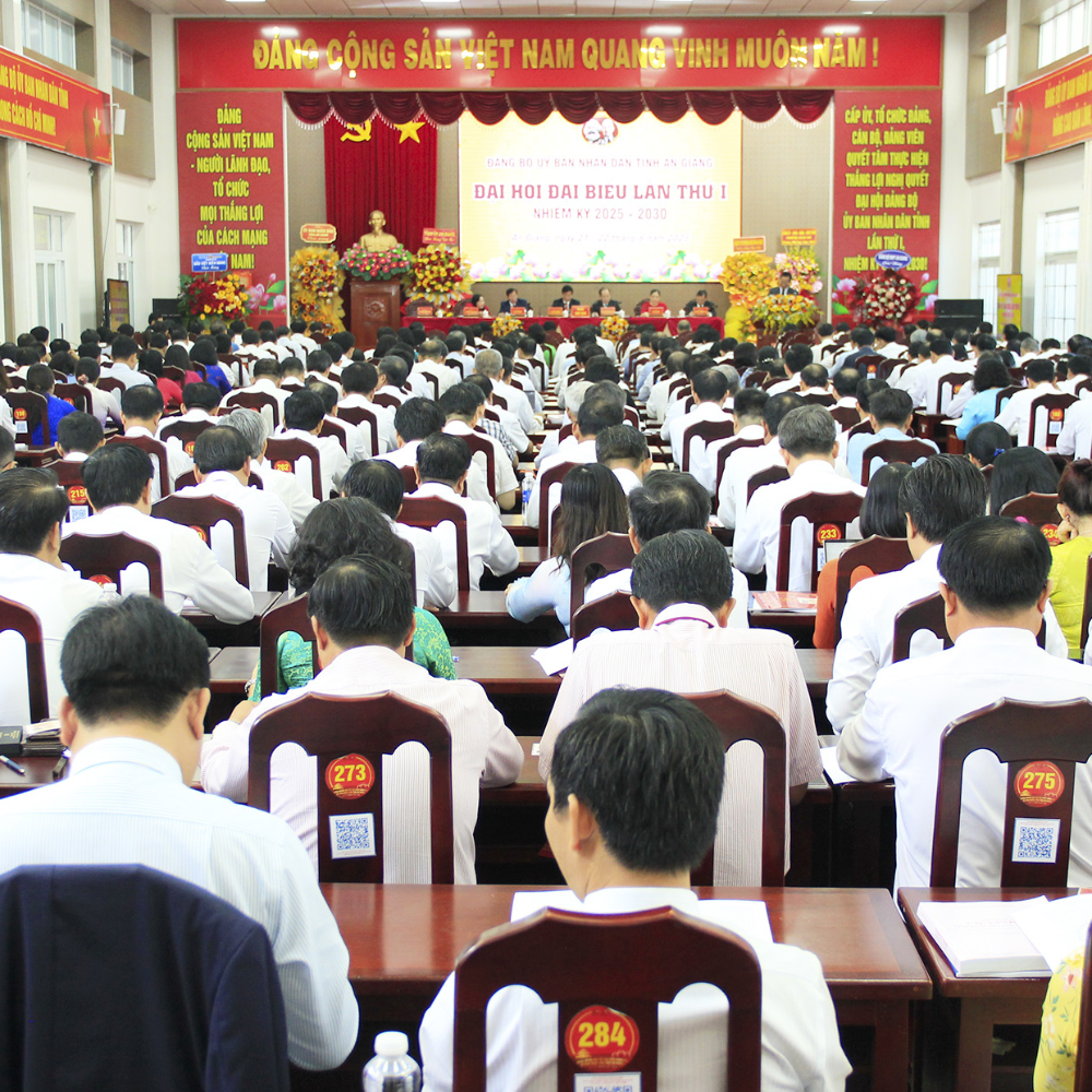 Đại Hội Đại Biểu Đảng Bộ Ủy Ban Nhân Dân Tỉnh An Giang Lần Thứ I, Nhiệm Kỳ 2025 – 2030