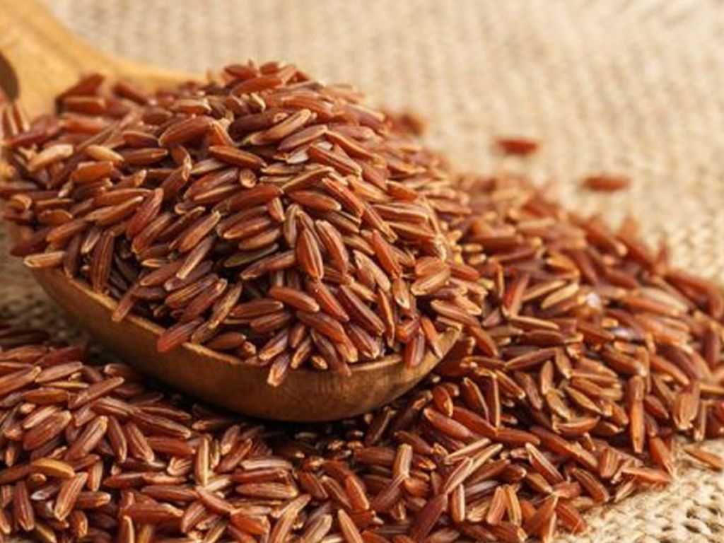 Gạo lứt – giữ trọn nguồn năng lượng tự nhiên