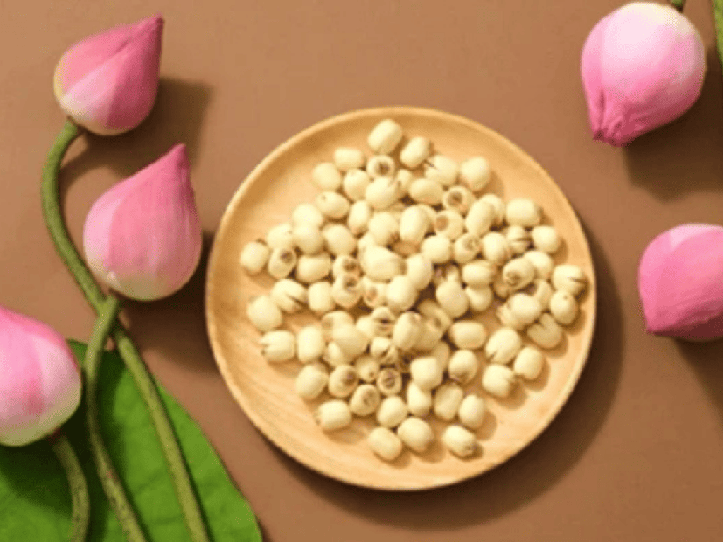 Hạt sen – dưỡng tâm, an thần, ngủ ngon