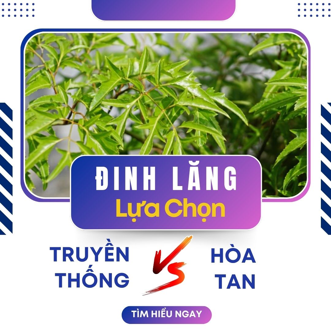 Cao Đinh Lăng Hòa Tan Và Cao Truyền Thống: Loại Nào Tốt Hơn Cho Bạn?