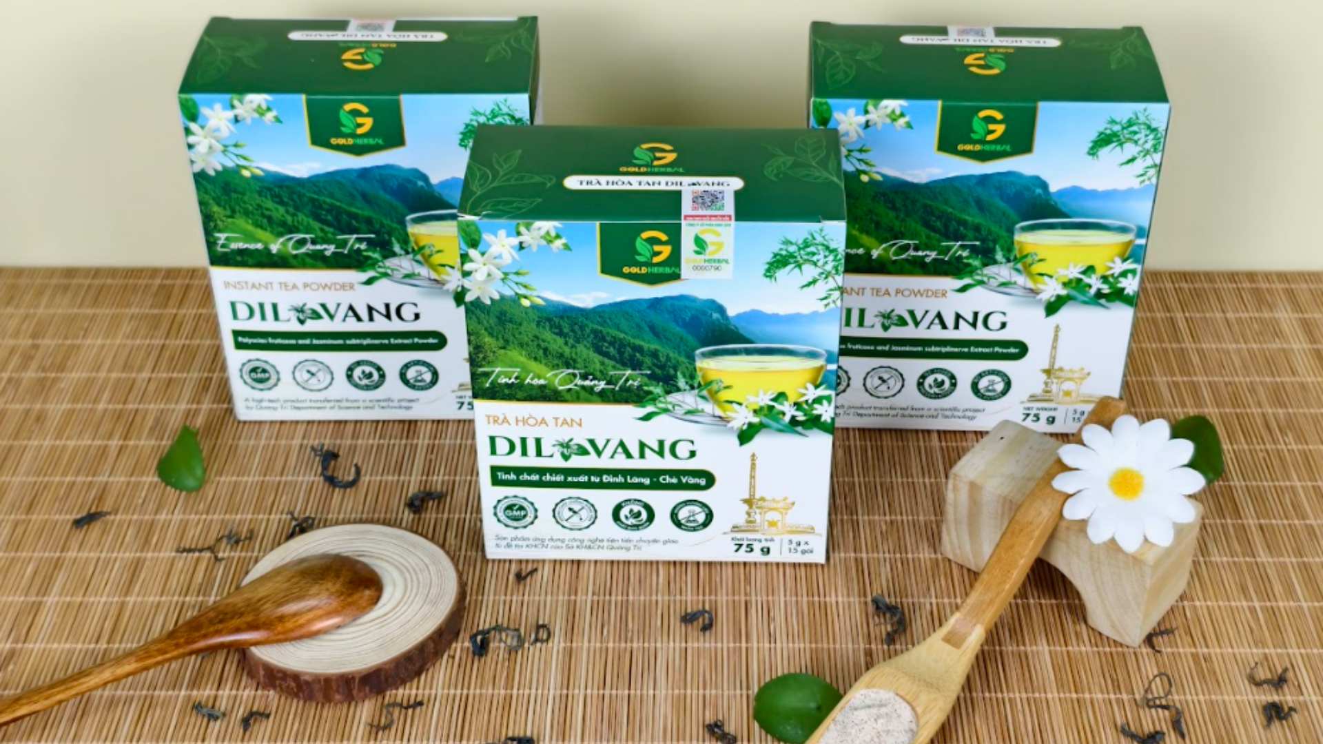 1. Đôi nét về cây đinh lăng – loại cây nhỏ nhưng có "võ"