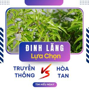 Cao Đinh Lăng Hòa Tan Và Cao Truyền Thống: Loại Nào Tốt Hơn Cho Bạn?