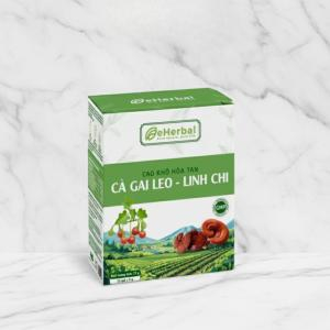 Giải Mã Cách Thải Độc Gan Tối Ưu Cho Người Bận Rộn