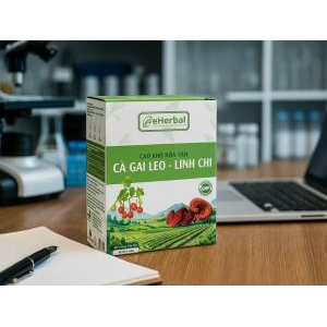 1. Ấn tượng đầu tiên về sản phẩm