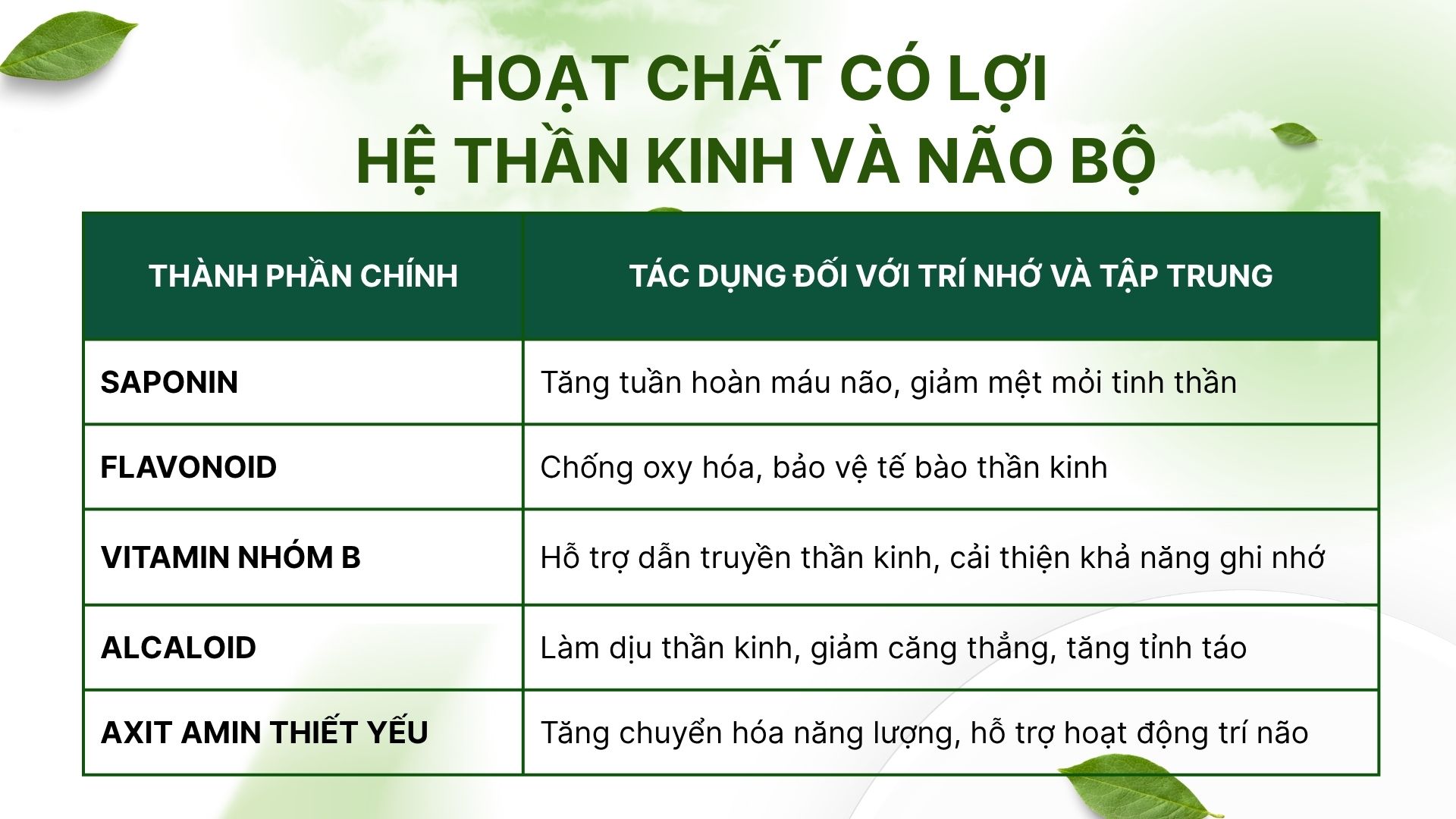 Thành phần giúp tăng trí nhớ và tập trung trong cao đinh lăng
