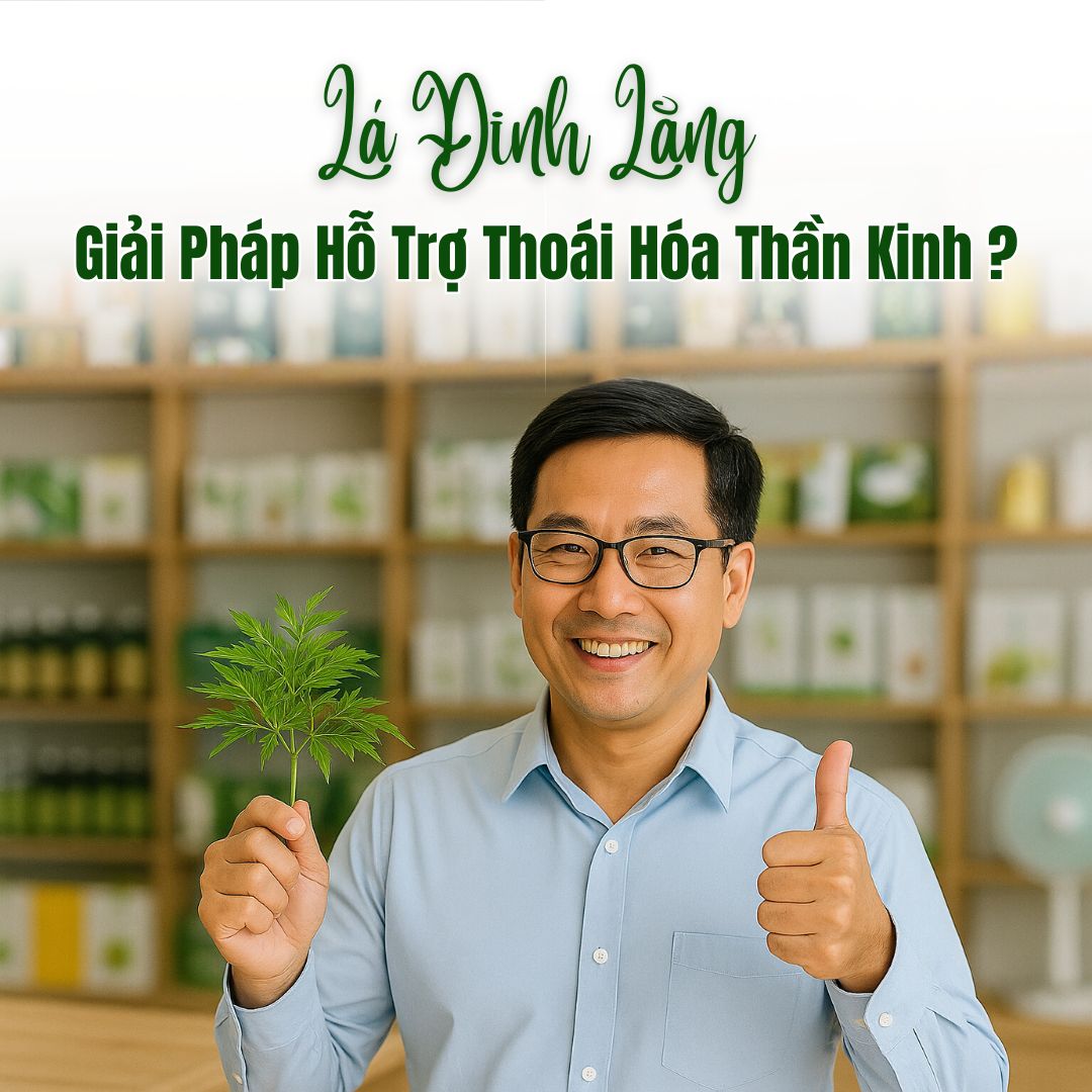 Uống Nước Lá Đinh Lăng: Giải Pháp Hỗ Trợ Thoái Hóa Thần Kinh?