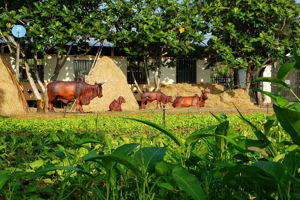Nông trại hữu cơ